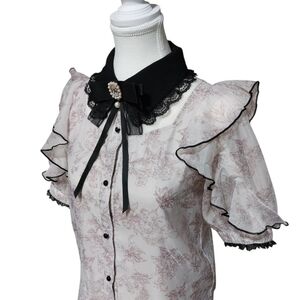 Rojita Floral Sheer Blouse (Pink)